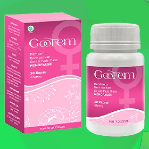 GOOFEM