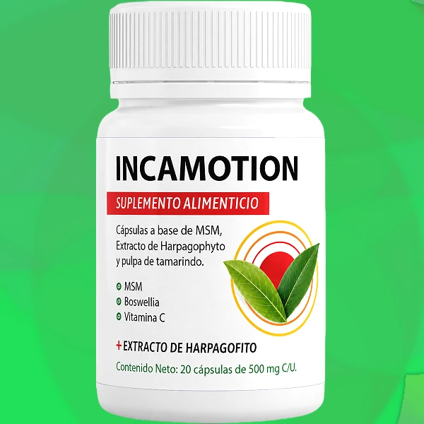 IncaMotion