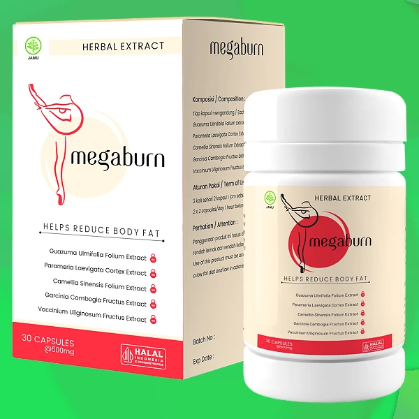 Megaburn