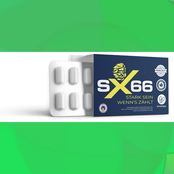SX 66